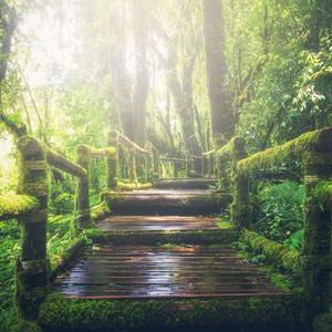 少萝㊙️免费裸体视频
